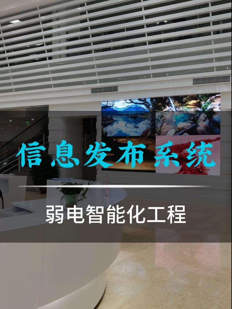 软件开发